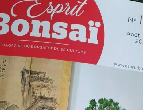ESPRIT BONSAI N°113 – AOUT/SEPTEMBRE 2021