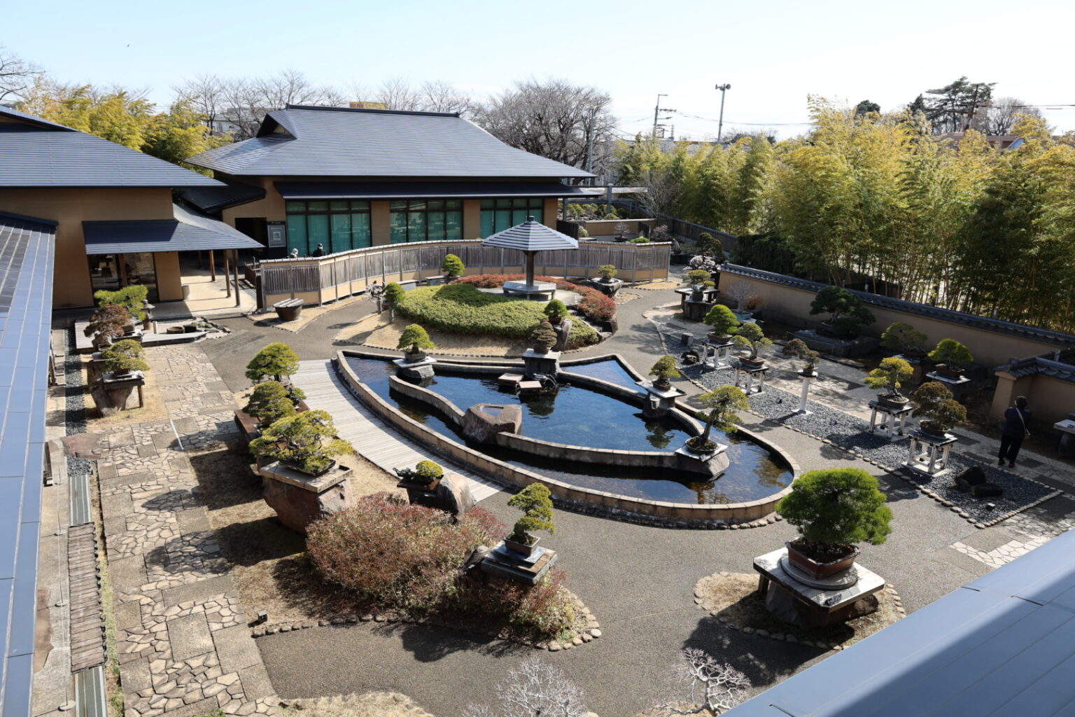 OMIYA BONSAÏ ART MUSEUM 2023 Bonsaï Culture