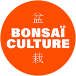 Bonsaï Culture Logo