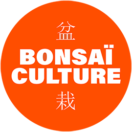 Bonsaï Culture Logo