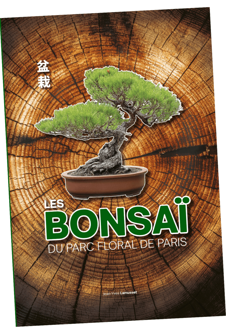 LES BONSAÏ DU PARC FLORAL DE PARIS Bonsaï Culture