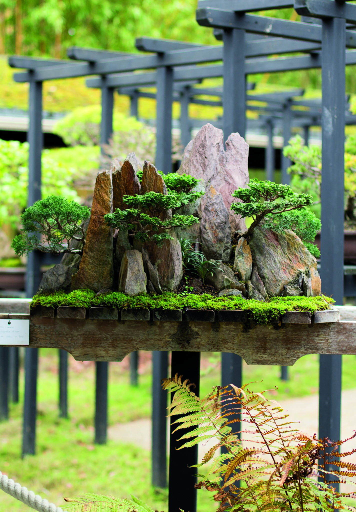LE PARC FLORAL DE PARIS La première exposition permanente de bonsaï