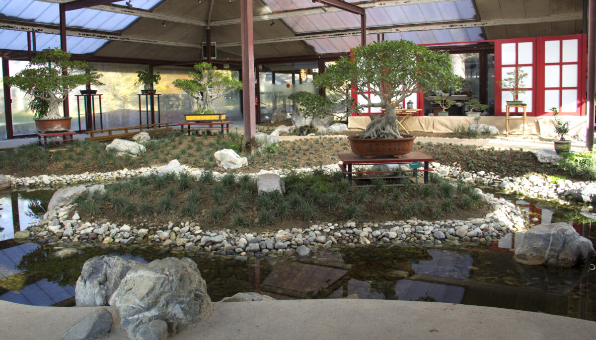 LE PARC FLORAL DE PARIS La première exposition permanente de bonsaï