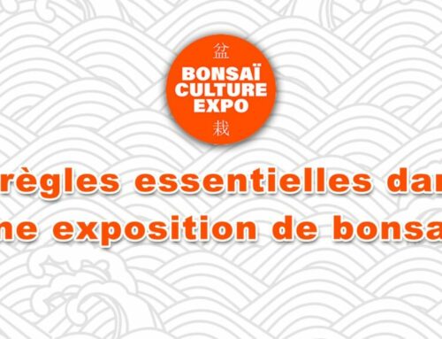 REGLES EN EXPO BONSAI