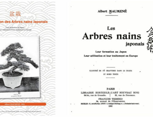 LES ARBRES NAINS JAPONAIS – Albert Maumené, 1902.