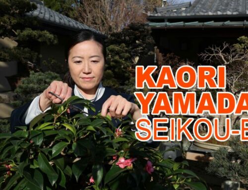 KAORI YAMADA SEIKOU-EN