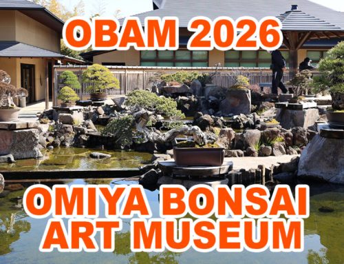OBAM 2026
