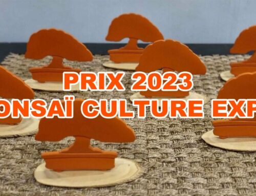 Bonsaï Culture Expo 2023 : Une Édition Exceptionnelle