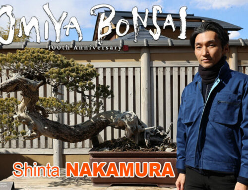 Shinta NAKAMURA – OMIYA BONSAI ART MUSEUM