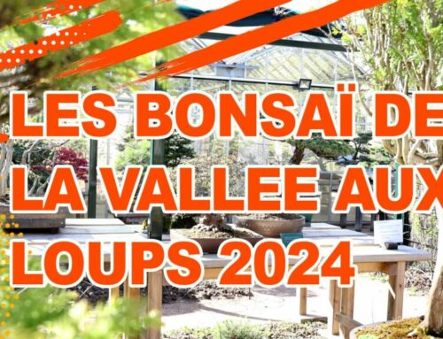 LES BONSAI DE LA VALLEE AUX LOUPS 2024