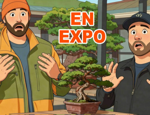 COMPORTEMENTS EN EXPO