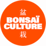 Bonsaï Culture Logo