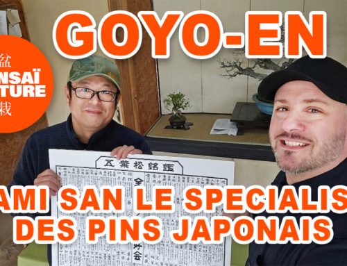 GOYO-EN JAPAN