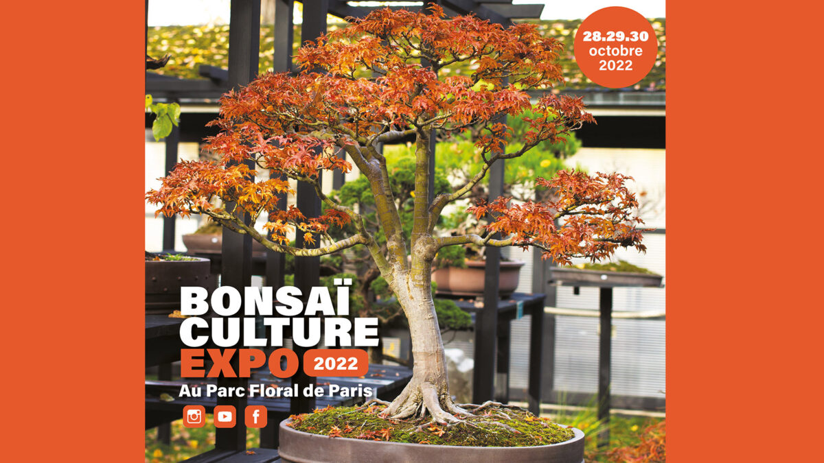 Bonsaï Culture bonsaiculture