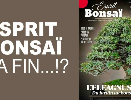 ESPRIT BONSAI, LA FIN ???