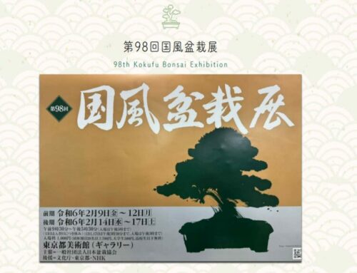 98.em KOKUFU BONSAI EXHIBITION à Tokyo 第98回国風盆栽展