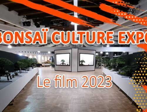 BONSAI CULTURE EXPO 3 LE FILM